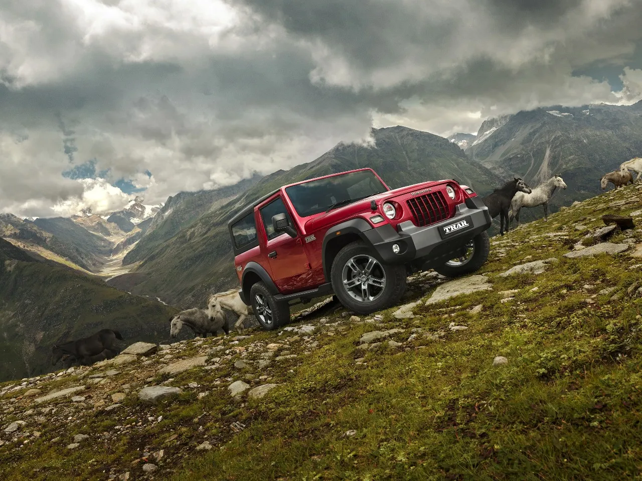 SUV Cars
